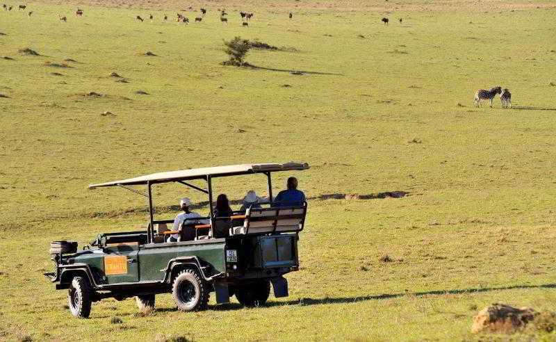 Kwantu Private Game Reserve Sidbury Exterior photo