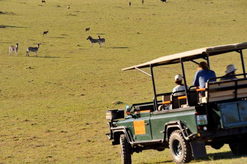 Kwantu Private Game Reserve Sidbury Exterior photo