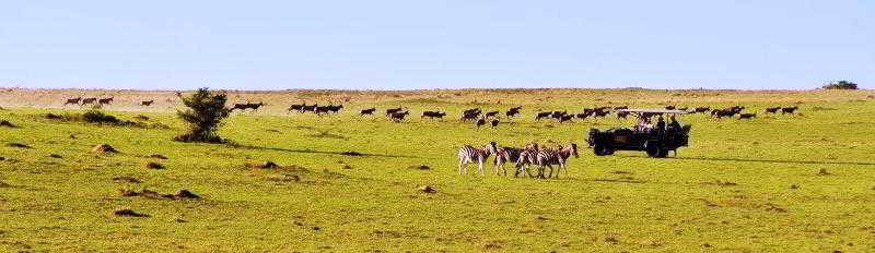 Kwantu Private Game Reserve Sidbury Exterior photo